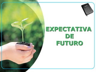 Profissional Classe "A"Classe APró ativoClasse B-Sou insubstituívelALTOSVariável RESULTADOSClasse B+Não consigoClasse CNão acreditoBAIXOSBAIXAALTAVariável COMPORTAMENTO