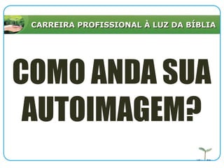 CARREIRA PROFISSIONAL À LUZ DA BÍBLIA