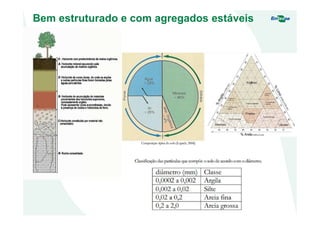 Bem estruturado e com agregados estáveis
 