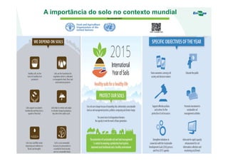 A importância do solo no contexto mundial
 