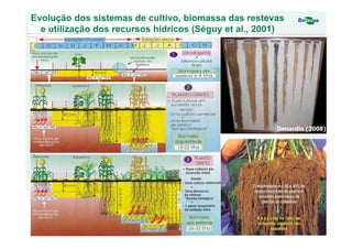 Denardin (2008)
Evolução dos sistemas de cultivo, biomassa das restevas
e utilização dos recursos hídricos (Séguy et al., 2001)
 