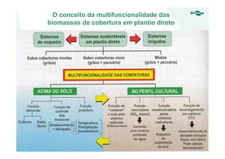 O conceito da multifuncionalidade das
biomassas de cobertura em plantio direto
 