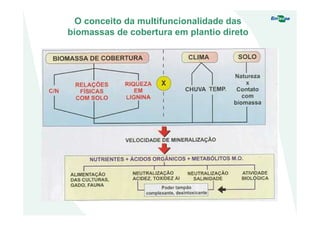 O conceito da multifuncionalidade das
biomassas de cobertura em plantio direto
 