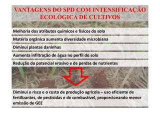 VANTAGENS DO SPD COM INTENSIFICAÇÃO
ECOLÓGICA DE CULTIVOS
Melhoria dos atributos químicos e físicos do solo
Matéria orgânica aumenta diversidade microbiana
Diminui plantas daninhas
Aumenta infiltração de água no perfil do solo
Redução do potencial erosivo e de perdas de nutrientes
Diminui o risco e o custo de produção agrícola – uso eficiente de
fertilizantes, de pesticidas e de combustível, proporcionando menor
emissão de GEE
 