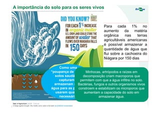 A importância do solo para os seres vivos
Para cada 1% no
aumento da matéria
orgânica nas terras
agricultáveis americanas
é possível armazenar a
quantidade de água que
flui sobre a cachoeira do
Niágara por 150 dias
Como uma
“poupança de água”,
solos saudáveis
capturam e
armazenam mais
água para as plantas
usarem quando
necessário
Minhocas, artrópodos e raízes em
decomposição criam macroporos que
permitem com que a água infiltre no solo.
Bactérias, fungos e outros organismos vivos
constroem e estabilizam os microporos que
aumentam a capacidade do solo em
armazenar água.
 