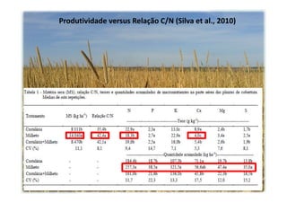 Produtividade versus Relação C/N (Silva et al., 2010)
 