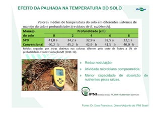 Fonte: Dr. Eros Francisco, Diretor Adjunto do IPNI Brasil
EFEITO DA PALHADA NA TEMPERATURA DO SOLO
» Reduz nodulação;
» Atividade microbiana comprometida;
» Menor capacidade de absorção de
nutrientes pelas raízes.
 