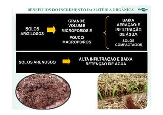 GRANDE
VOLUME
MICROPOROS E
POUCO
MACROPOROS
BENEFÍCIOS DO INCREMENTO DA MATÉRIA ORGÂNICA
SOLOS
ARGILOSOS
BAIXA
AERAÇÃO E
INFILTRAÇÃO
DE ÁGUA
SOLOS
COMPACTADOS
SOLOS ARENOSOS
ALTA INFILTRAÇÃO E BAIXA
RETENÇÃO DE ÁGUA
 