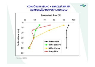 0
10
20
30
40
50
60
50 60 70 80 90 100
Agregados > 2mm (%)
Profundidade(cm)
Mata nativa
Milho solteiro
Milho + braq
Braquiária
CONSÓRCIO MILHO + BRAQUIÁRIA NA
AGREGAÇÃO DO PERFIL DO SOLO
Stone et al. (2003)
 