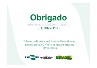 Obrigado
emerson.borghi@embrapa.br
(31) 3027-1100
Palestra dedicada a José Aloisio Alves Moreira,
pesquisador do CNPMS na área de irrigação
(1950-2015)
 