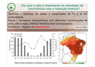 Químicos – presença de óxidos e sesquióxidos de Fe e Al em
profundidade
Físicos – horizontes subsuperficiais com diferentes concentrações de
areia, silte e argila, MANEJO INADEQUADO (Compactação)
Climáticos – Regiões de Inverno Seco Collicchio (2008)
Por que o solo é importante na estratégia de
convivência com a restrição hídrica?
 