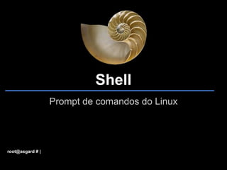 Shell
                  Prompt de comandos do Linux




root@asgard # |
 