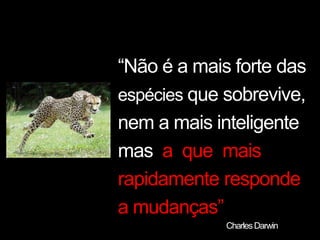 “Não é a mais forte dasespécies que sobrevive,nem a mais inteligentemas  a  que  mais rapidamente responde a mudanças”                                                             Charles Darwin