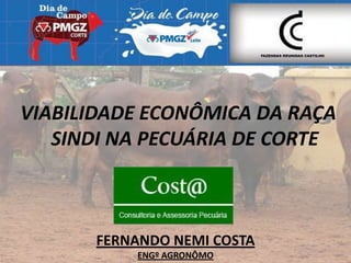 VIABILIDADE ECONÔMICA DA RAÇA
   SINDI NA PECUÁRIA DE CORTE



      FERNANDO NEMI COSTA
          ENGº AGRONÔMO
 