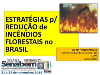 ESTRATÉGIAS p/
REDUÇÃO de
INCÊNDIOS
FLORESTAIS no
BRASIL Cel BM PAULO BARROSO
Comitê Estadual de Gestão do Fogo
SEMA
Mato Grosso
 