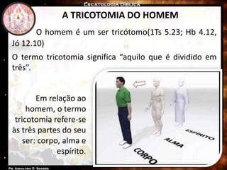 A TRICOTOMIA DO HOMEM
O homem é um ser tricótomo(1Ts 5.23; Hb 4.12,
Jó 12.10)
O termo tricotomia significa “aquilo que é dividido em
três”.
Em relação ao
homem, o termo
tricotomia refere-se
às três partes do seu
ser: corpo, alma e
espírito.
 