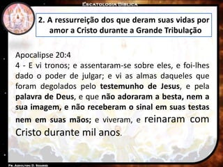 2. A ressurreição dos que deram suas vidas por
amor a Cristo durante a Grande Tribulação
Apocalipse 20:4
4 - E vi tronos; e assentaram-se sobre eles, e foi-lhes
dado o poder de julgar; e vi as almas daqueles que
foram degolados pelo testemunho de Jesus, e pela
palavra de Deus, e que não adoraram a besta, nem a
sua imagem, e não receberam o sinal em suas testas
nem em suas mãos; e viveram, e reinaram com
Cristo durante mil anos.
 