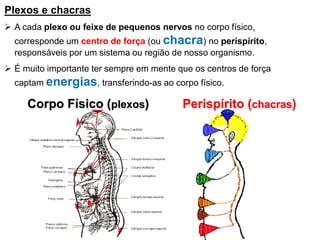 Plexos e chacras
 A cada plexo ou feixe de pequenos nervos no corpo físico,
corresponde um centro de força (ou chacra) no perispírito,
responsáveis por um sistema ou região de nosso organismo.
 É muito importante ter sempre em mente que os centros de força
captam energias, transferindo-as ao corpo físico.
Corpo Físico (plexos) Perispírito (chacras)
 