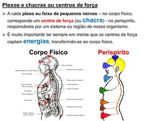 Plexos e chacras ou centros de força
 A cada plexo ou feixe de pequenos nervos – no corpo físico,
corresponde um centro de força (ou chacra) - no perispírito,
responsáveis por um sistema ou região de nosso organismo.
 É muito importante ter sempre em mente que os centros de força
captam energias, transferindo-as ao corpo físico.
Corpo Físico Perispírito
 