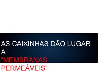 AS CAIXINHAS DÃO LUGAR
A
“MEMBRANAS
PERMEÁVEIS”

 