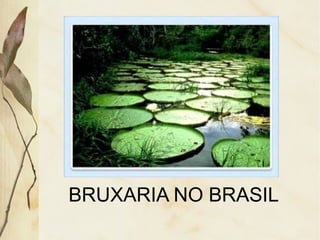 BRUXARIA NO BRASIL
 