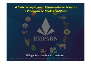 A Biotecnologia como Ferramenta de Pesquisa
       e Produção de Mudas Frutíferas




       Bióloga, MSc. Lucila K. F. L. de Brito
 