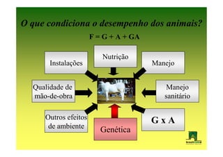 O que condiciona o desempenho dos animais?
                      F = G + A + GA

                         Nutrição
       Instalações                     Manejo


  Qualidade de                            Manejo
  mão-de-obra                             sanitário

     Outros efeitos                    GxA
      de ambiente
                         Genética
 