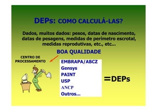 DEPs: COMO CALCULÁ-LAS?
  Dados, muitos dados: pesos, datas de nascimento,
  datas de pesagens, medidas de perímetro escrotal,
           medidas reprodutivas, etc., etc...
                BOA QUALIDADE
  CENTRO DE
PROCESSAMENTO     EMBRAPA/ABCZ
                  Gensys
                  PAINT
                  USP               =DEPs
                  ANCP
                  Outros...
 