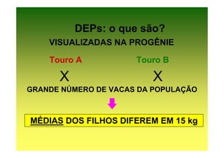 DEPs: o que são?
    VISUALIZADAS NA PROGÊNIE

    Touro A           Touro B

      X                  X
GRANDE NÚMERO DE VACAS DA POPULAÇÃO



MÉDIAS DOS FILHOS DIFEREM EM 15 kg
 