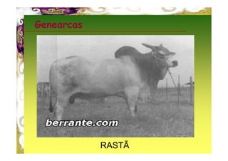 Genearcas




            RASTÃ
 