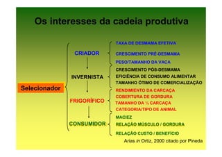Os interesses da cadeia produtiva

                             TAXA DE DESMAMA EFETIVA

                CRIADOR      CRESCIMENTO PRÉ-DESMAMA
                             PESO/TAMANHO DA VACA
                             CRESCIMENTO PÓS-DESMAMA
               INVERNISTA    EFICIÊNCIA DE CONSUMO ALIMENTAR
                             TAMANHO ÓTIMO DE COMERCIALIZAÇÃO
Selecionador
Selecionador                 RENDIMIENTO DA CARCAÇA
                             COBERTURA DE GORDURA
               FRIGORÍFICO   TAMANHO DA ½ CARCAÇA
                             CATEGORIA/TIPO DE ANIMAL
                             MACIEZ
               CONSUMIDOR:   RELAÇÃO MÚSCULO / GORDURA
                             RELAÇÃO MÚSCULO / GORDURA
                             RELAÇÃO CUSTO / BENEFÍCIO
                                Arias in Ortiz, 2000 citado por Pineda
 