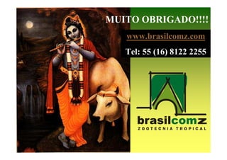 MUITO OBRIGADO!!!!
   www.brasilcomz.com
   Tel: 55 (16) 8122 2255
 