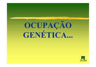 OCUPAÇÃO
GENÉTICA...
 
