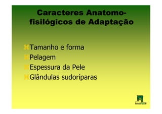 Anatomo-
  Caracteres Anatomo-
fisiló         Adaptaç
fisilógicos de Adaptação


Tamanho e forma
Pelagem
Espessura da Pele
Glândulas sudoríparas
 