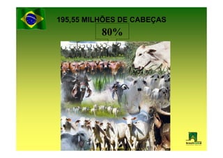 195,55 MILHÕES DE CABEÇAS
          80%
 
