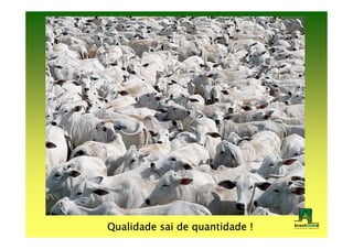 Qualidade sai de quantidade !
 