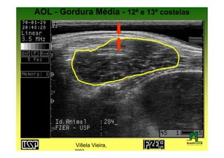 AOL - Gordura Média - 12ª e 13ª costelas




          Villela Vieira,
          2002
 