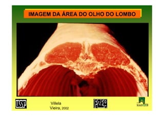 IMAGEM DA ÁREA DO OLHO DO LOMBO
IMAGEM DA ÁREA DO OLHO DO LOMBO




      Villela
      Vieira, 2002
 