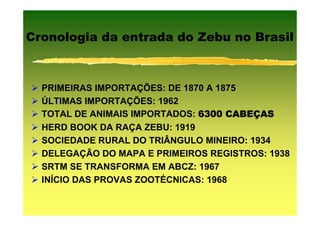 Cronologia da entrada do Zebu no Brasil



  PRIMEIRAS IMPORTAÇÕES: DE 1870 A 1875
  ÚLTIMAS IMPORTAÇÕES: 1962
  TOTAL DE ANIMAIS IMPORTADOS: 6300 CABEÇAS
                                     CABEÇ
  HERD BOOK DA RAÇA ZEBU: 1919
  SOCIEDADE RURAL DO TRIÂNGULO MINEIRO: 1934
  DELEGAÇÃO DO MAPA E PRIMEIROS REGISTROS: 1938
  SRTM SE TRANSFORMA EM ABCZ: 1967
  INÍCIO DAS PROVAS ZOOTÉCNICAS: 1968
 