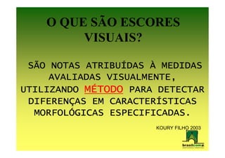 O QUE SÃO ESCORES
         VISUAIS?

           ATRIBUÍ
 SÃO NOTAS ATRIBUÍDAS À MEDIDAS
     AVALIADAS VISUALMENTE,
UTILIZANDO MÉTODO PARA DETECTAR
 DIFERENÇ
 DIFERENÇAS EM CARACTERÍSTICAS
               CARACTERÍ
  MORFOLÓ
  MORFOLÓGICAS ESPECIFICADAS.
                      KOURY FILHO 2003
 