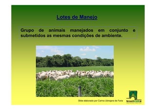 Lotes de Manejo

Grupo de animais manejados em conjunto                                 e
submetidos as mesmas condições de ambiente.




                       Slide elaborado por Carina Ubirajara de Faria
 