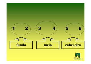 1       2   3          4   5      6


    fundo       meio       cabeceira
 