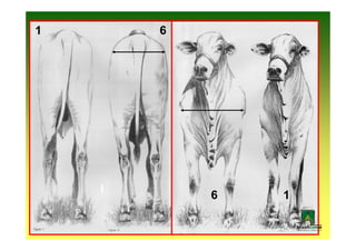 1   6




        6   1
 