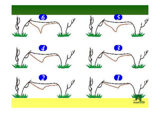 6   5



4   3


2   1
 