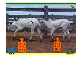 E=5   E=5
P=6   P=2
M=6   M=3
 