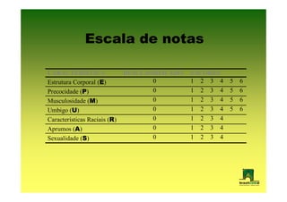 Escala de notas

CARACTERÍSTICA                DESCLASSIFICADO   ESCORES
Estrutura Corporal (E)               0          1 2 3 4   5   6
Precocidade (P)                      0          1 2 3 4   5   6
Musculosidade (M)                    0          1 2 3 4   5   6
Umbigo (U)                           0          1 2 3 4   5   6
Características Raciais (R)          0          1 2 3 4
Aprumos (A)                          0          1 2 3 4
Sexualidade (S)                      0          1 2 3 4
 