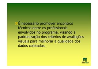 É necessário promover encontros
técnicos entre os profissionais
envolvidos no programa, visando a
padronização dos critérios de avaliações
visuais para melhorar a qualidade dos
dados coletados.
 