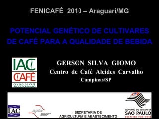 GERSON  SILVA  GIOMO Centro  de  Café  Alcides  Carvalho Campinas/SP POTENCIAL GENÉTICO DE CULTIVARES   DE CAFÉ PARA A QUALIDADE DE BEBIDA FENICAFÉ  2010 – Araguari/MG 