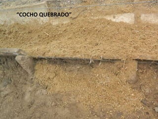 “COCHO QUEBRADO”




                   10
 