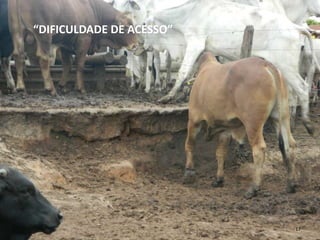 “DIFICULDADE DE ACESSO”




                          17
 